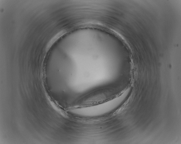 X0000078261042200612011649