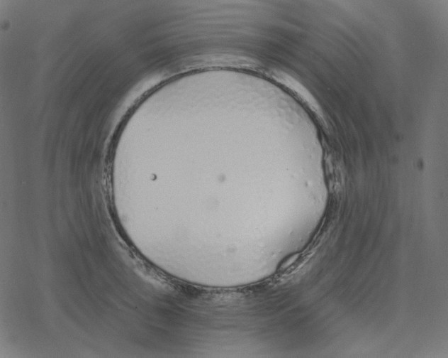 X0000078261043200612011649