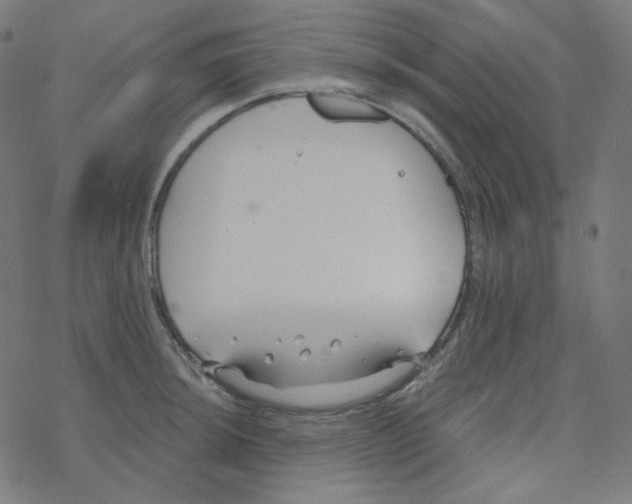 X0000078261044200612011649