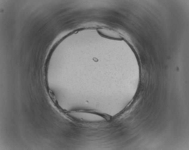 X0000078261045200612011649