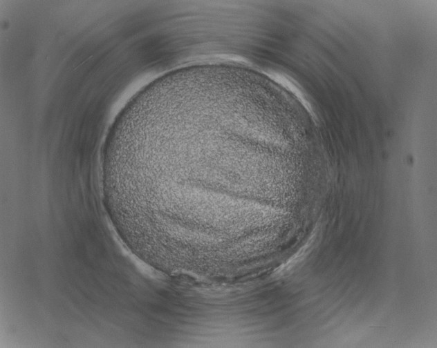 X0000078261046200612011649