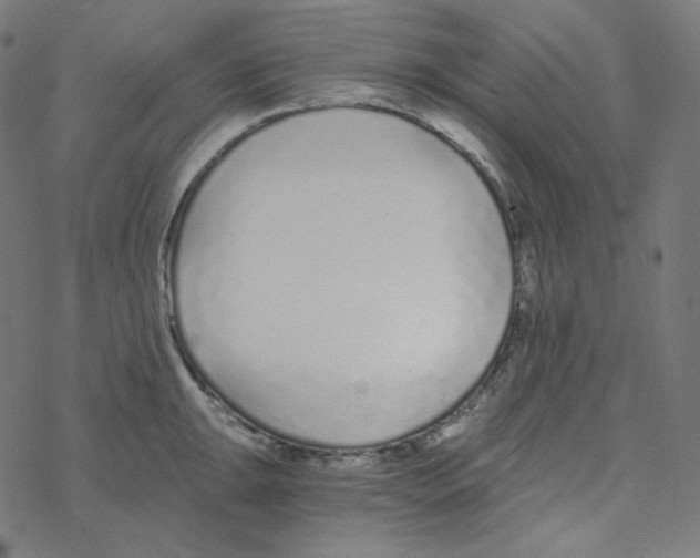 X0000078261047200612011649