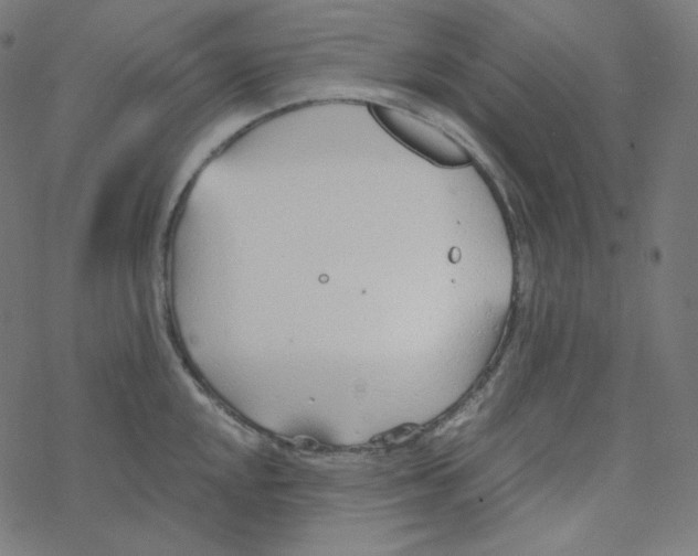 X0000078261048200612011649