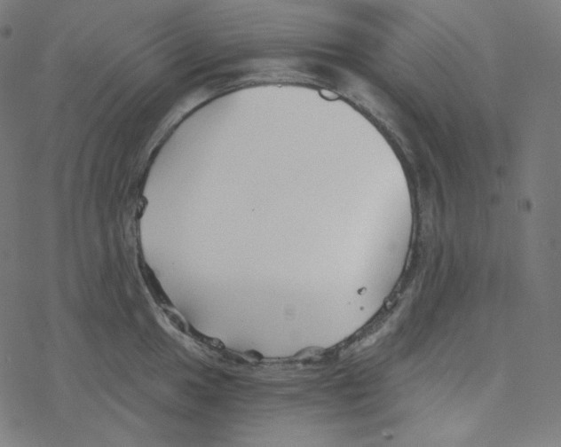 X0000078261049200612011649