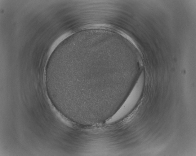 X0000078261050200612011649