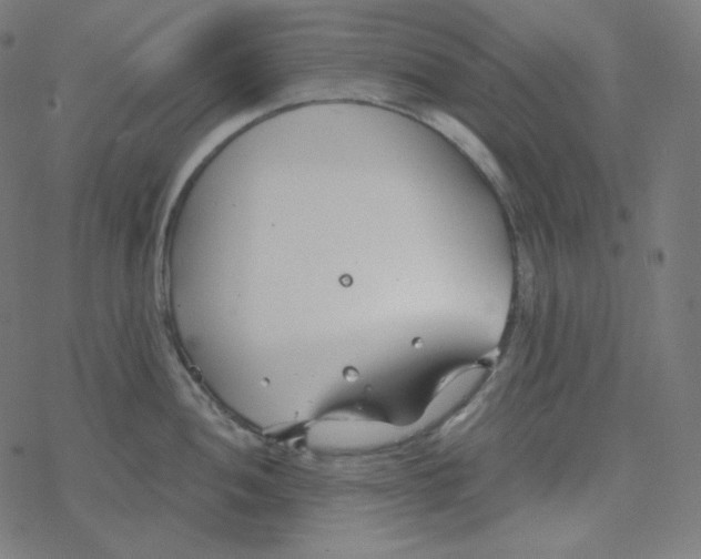 X0000078261052200612011649