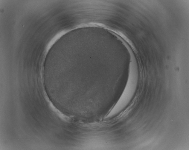 X0000078261054200612011650