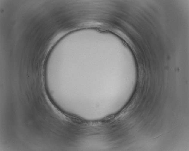 X0000078261055200612011650