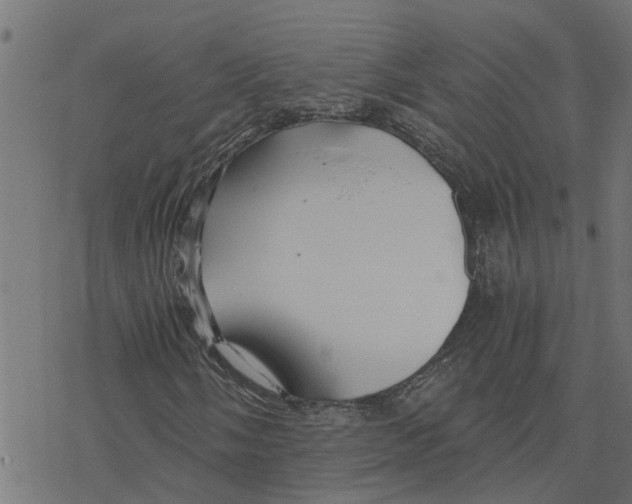 X0000078261058200612011649