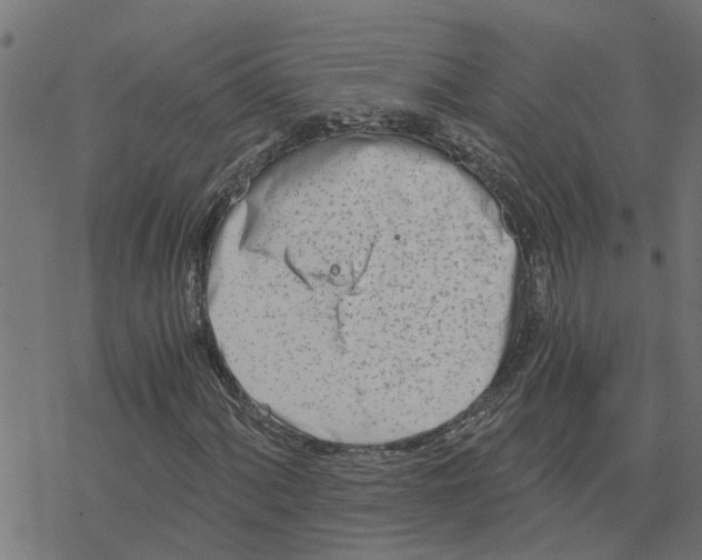 X0000078261060200612011649