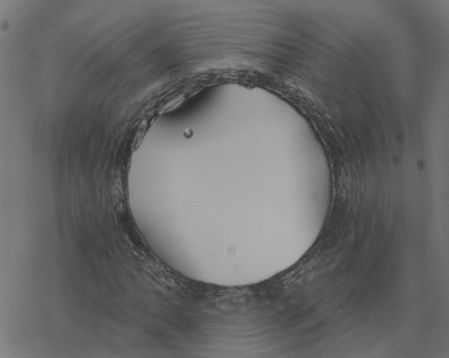 X0000078261062200612011649