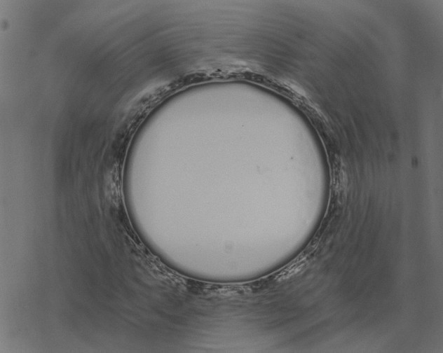 X0000078261063200612011649