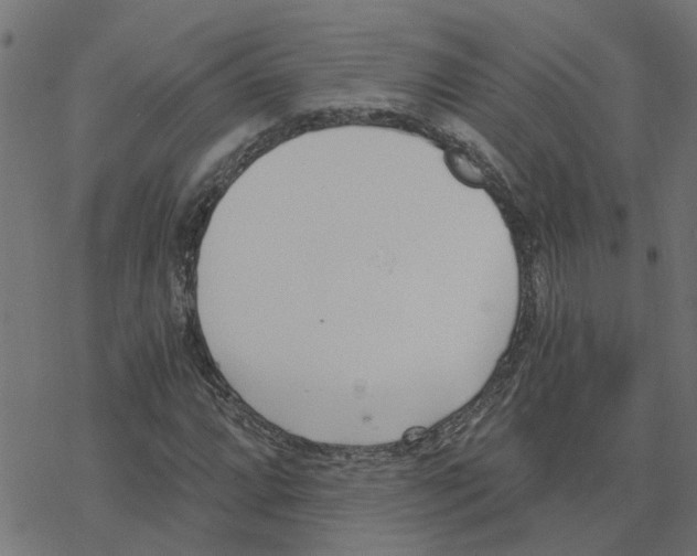 X0000078261064200612011649