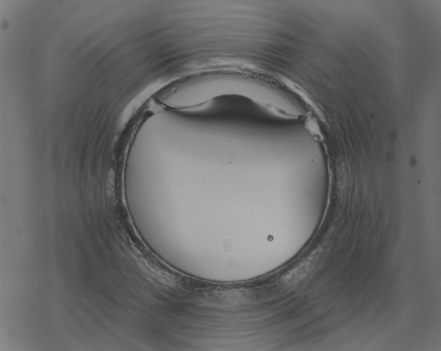 X0000078261066200612011649