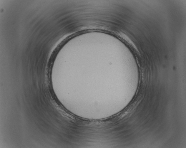 X0000078261068200612011649