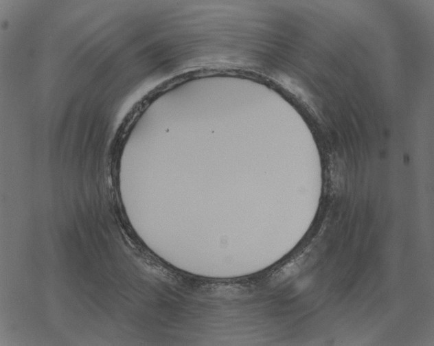 X0000078261070200612011649