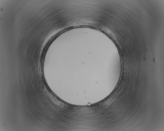 X0000078261072200612011649