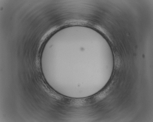 X0000078261074200612011649