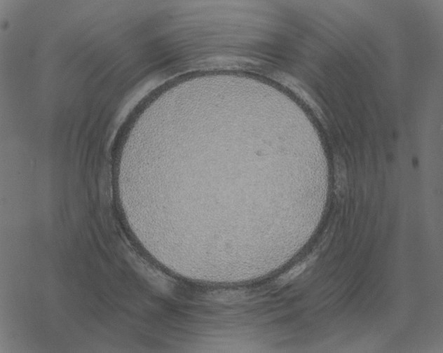 X0000078261075200612011648