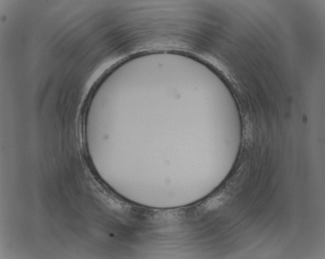 X0000078261078200612011648