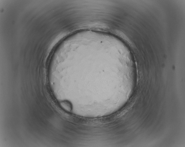 X0000078261079200612011648