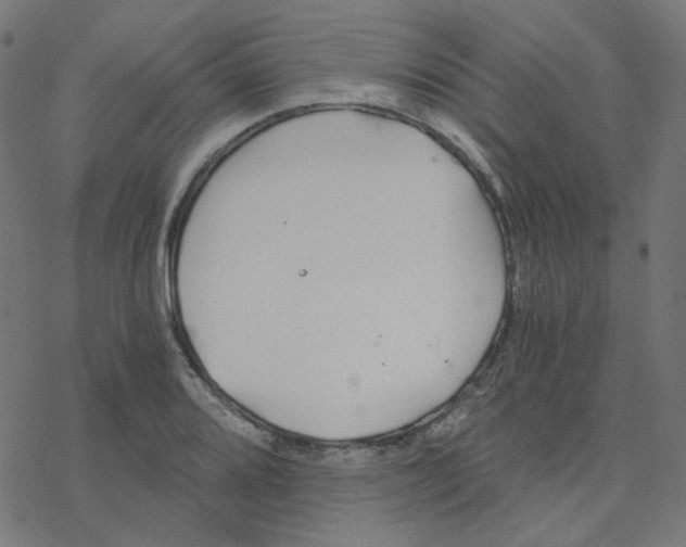 X0000078261080200612011648