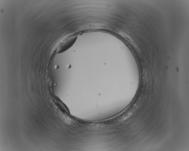 X0000078261081200612011648