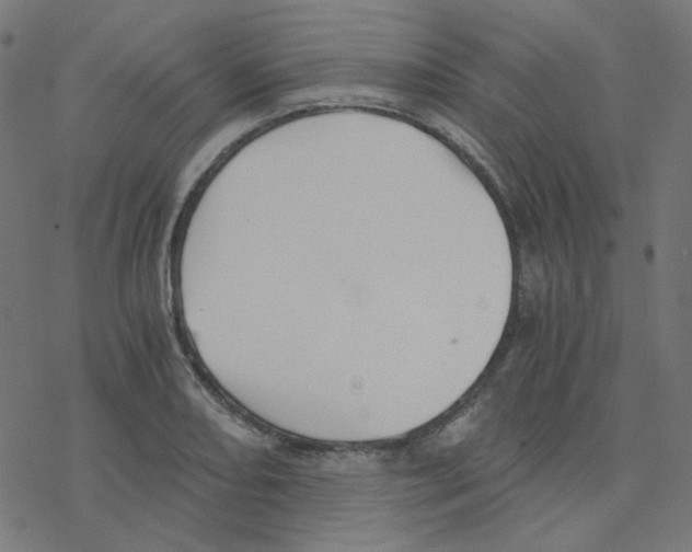 X0000078261082200612011648