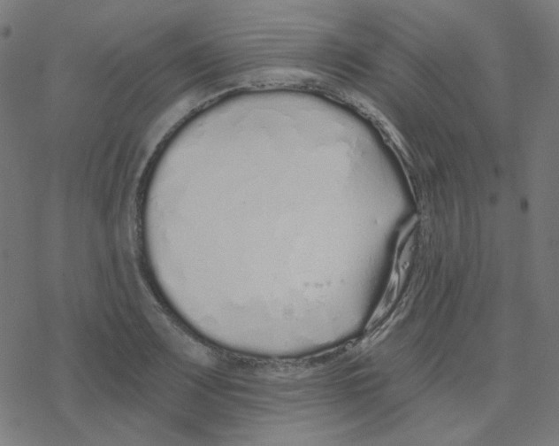 X0000078261083200612011648