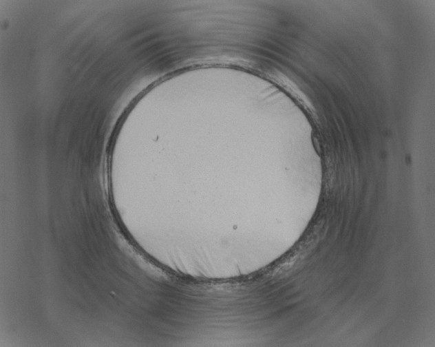 X0000078261084200612011648