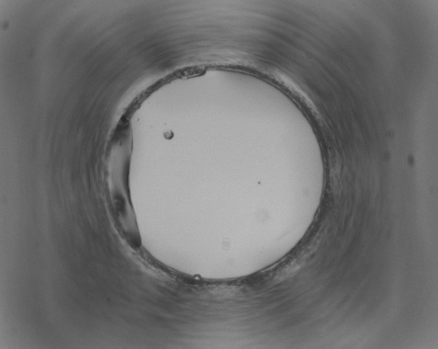 X0000078261085200612011648