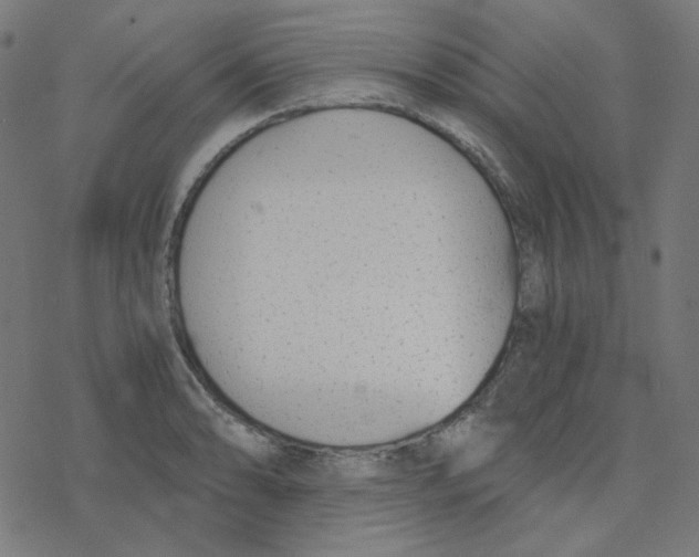 X0000078261086200612011648