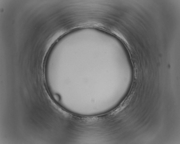 X0000078261087200612011648