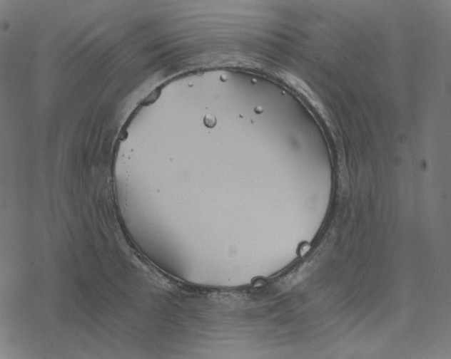 X0000078261089200612011648