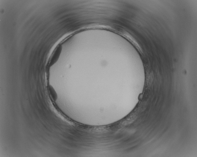 X0000078261092200612011648