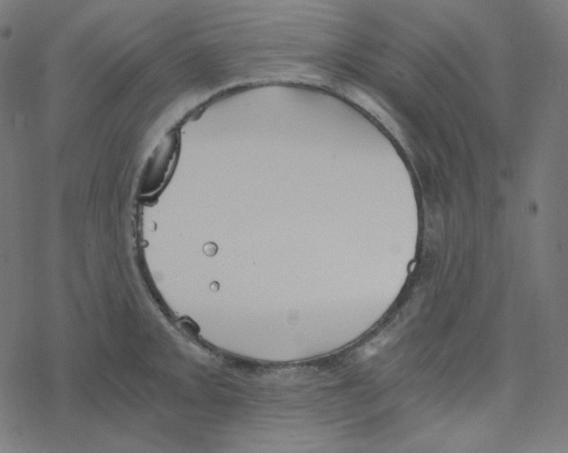 X0000078261093200612011648