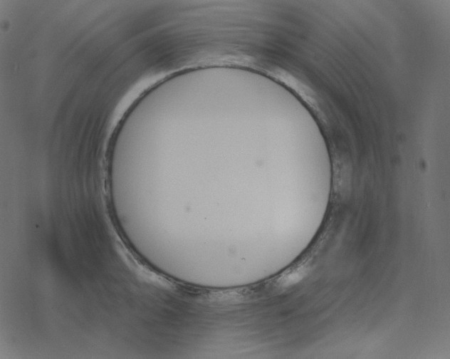 X0000078261094200612011648