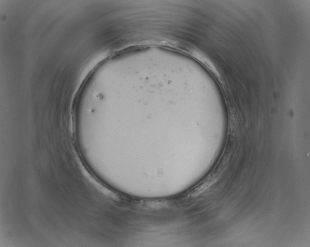 X0000078261095200612011648