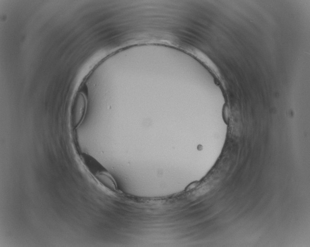 X0000078261096200612011648