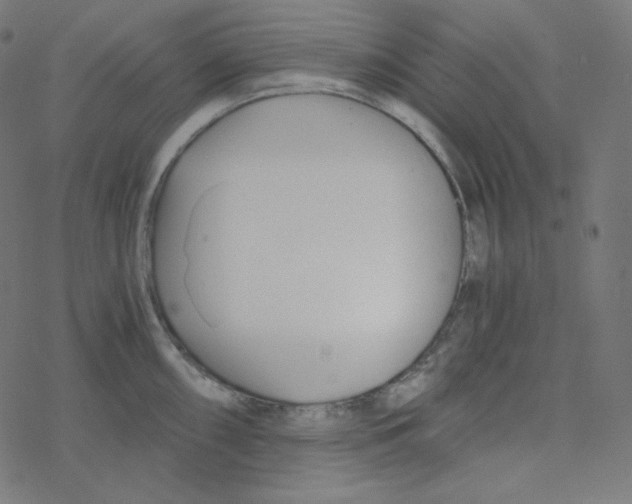 X0000078261098200612011648