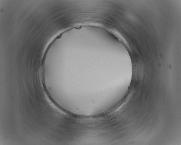 X0000078261100200612011648