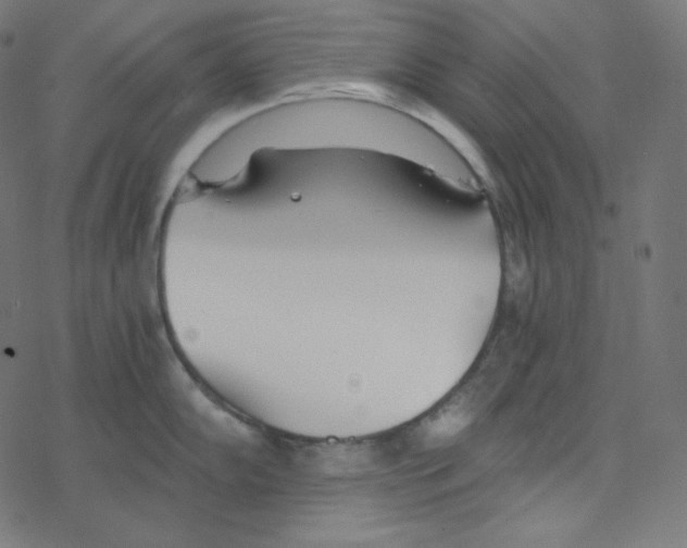 X0000078261102200612011648