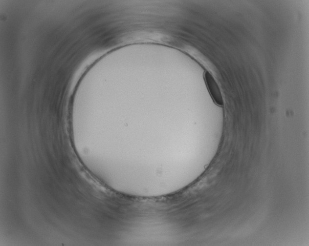 X0000078261104200612011648