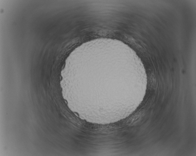 X0000078261105200612011647