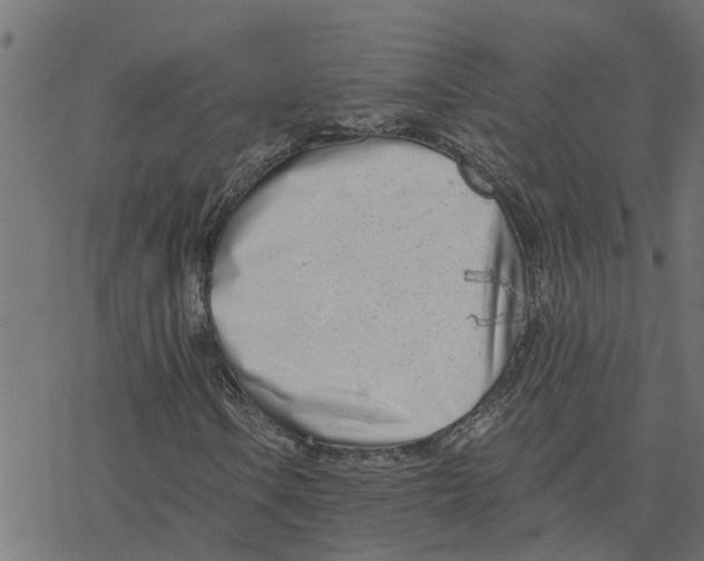 X0000078261106200612011647