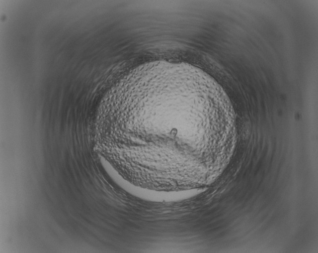 X0000078261108200612011647