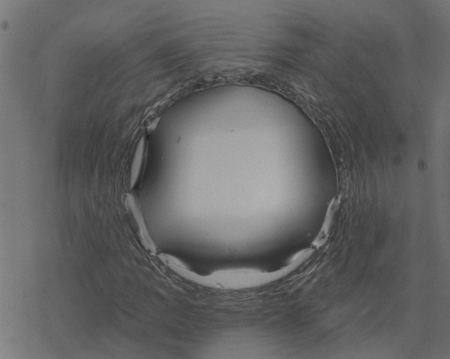 X0000078261109200612011647