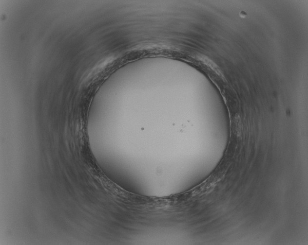 X0000078261111200612011647