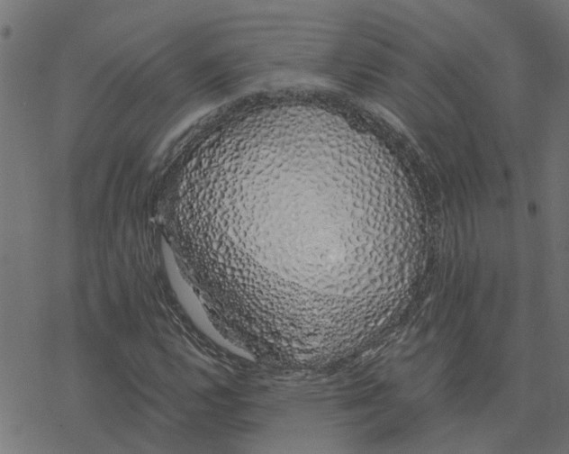 X0000078261112200612011647