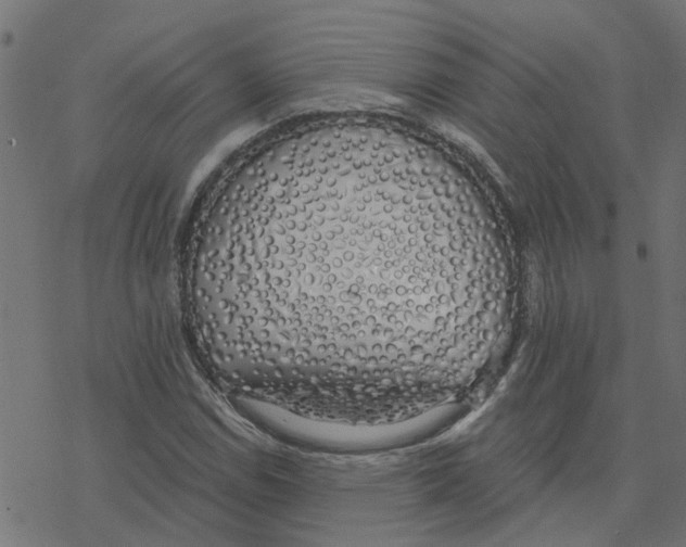 X0000078261114200612011647